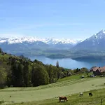 Steamboat In See- Und Bergnaehe, 4 Gaeste, Balkon Mit Aussicht Appartement Spiez