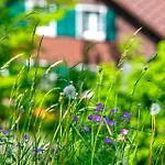 Steamboat In See- Und Bergnaehe, 4 Gaeste, Balkon Mit Aussicht Appartement
