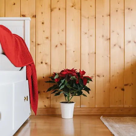Steamboat In See- Und Bergnaehe, 4 Gaeste, Balkon Mit Aussicht * Faulensee
