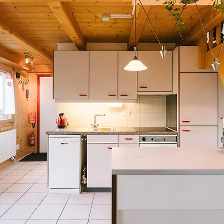 Steamboat In See- Und Bergnähe, 4 Gäste, Balkon Mit Aussicht Apartment Faulensee