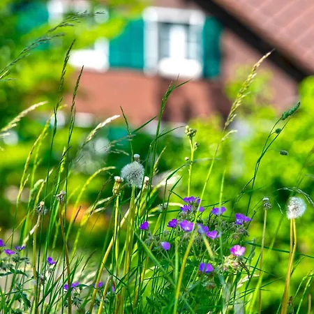 Steamboat In See- Und Bergnähe, 4 Gäste, Balkon Mit Aussicht Apartment