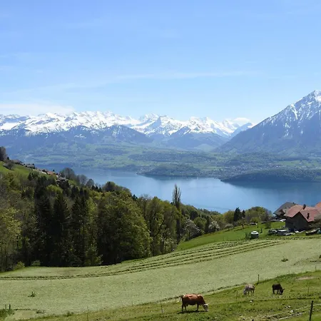 Steamboat In See- Und Bergnaehe, 4 Gaeste, Balkon Mit Aussicht Daire Spiez